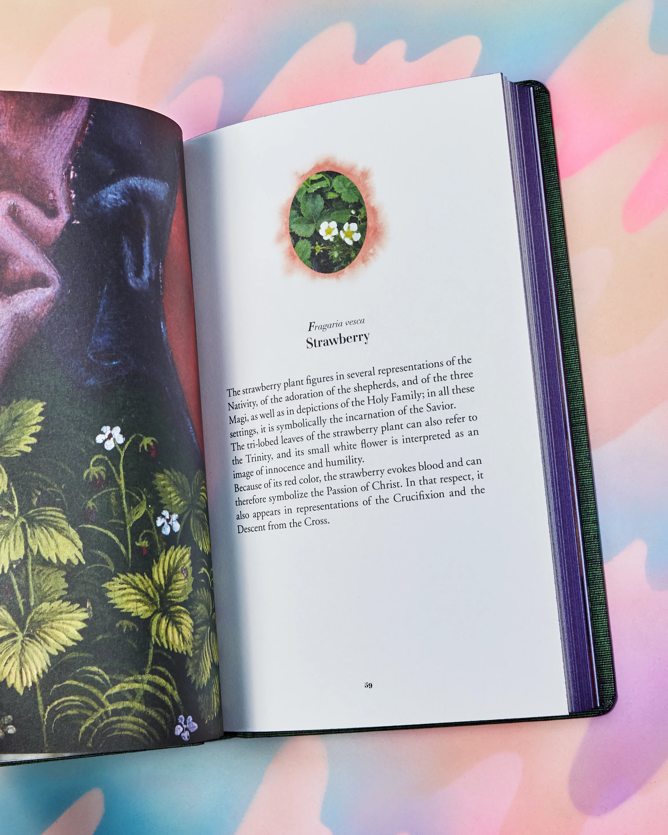 The Secret Language of Flowers: Notes on the Hidden Meanings of Flowers in Art - Image 4